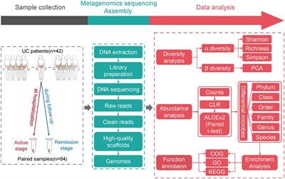 The Distinguishing Bacterial Features From Active and Remission Stages of Ulcerative Colitis Revealed by Paired Fecal Metagenomes